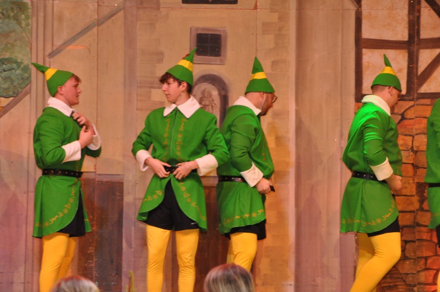 Foto Seniorenkarneval 2024